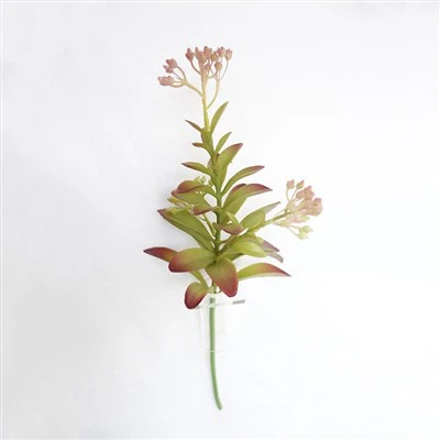 برطانیہ میں مصنوعی کرسمس کے پھول تھوک